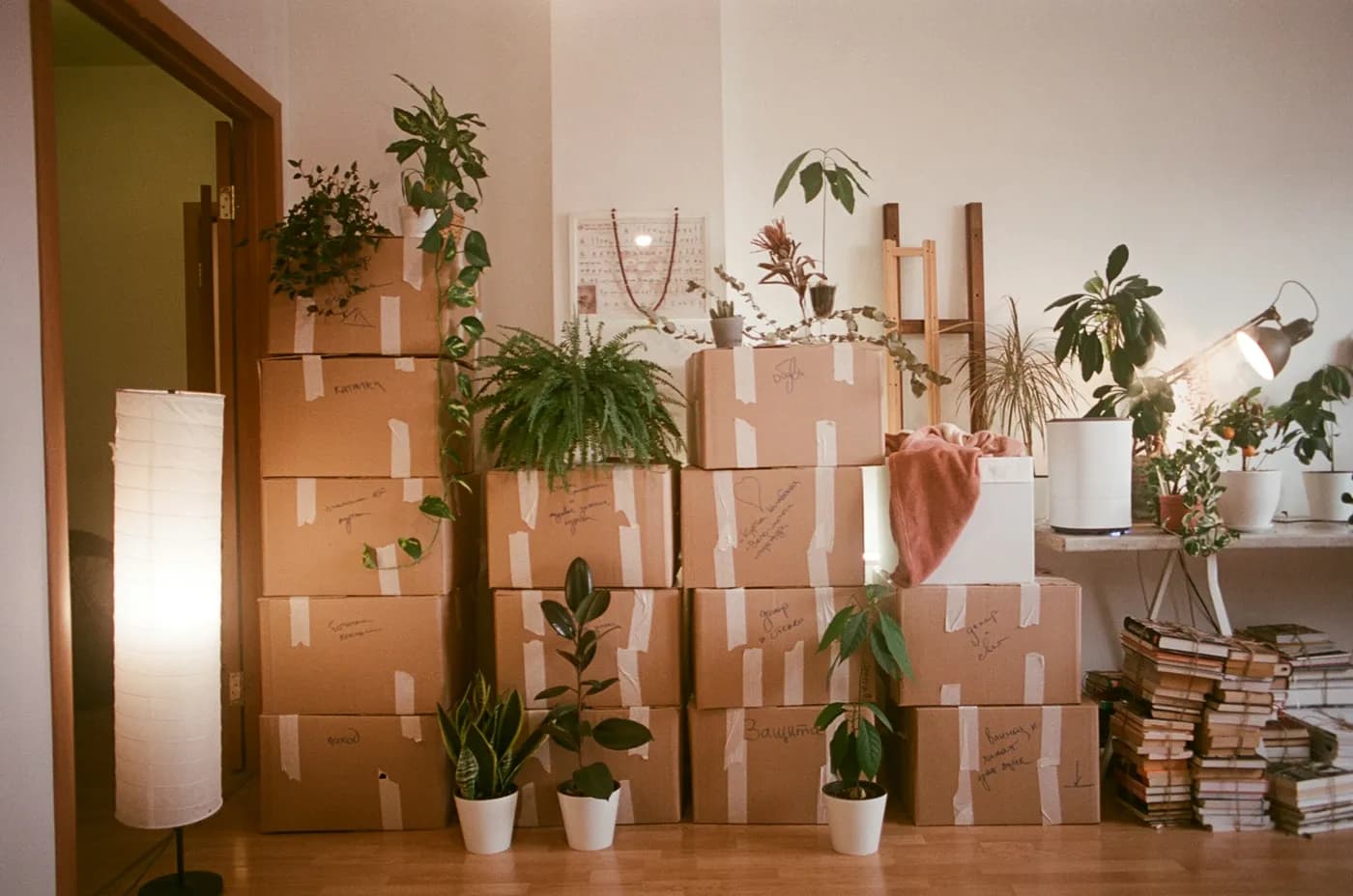 Moving boxes packed for a house removal